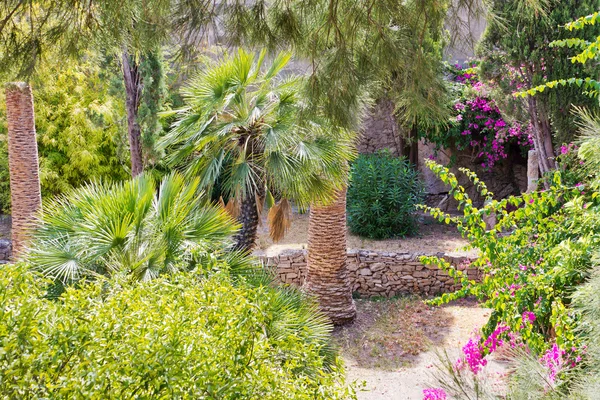 Spanish garden — Stock Photo, Image