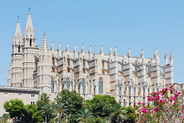 Cattedrale in Spagna — Foto Stock