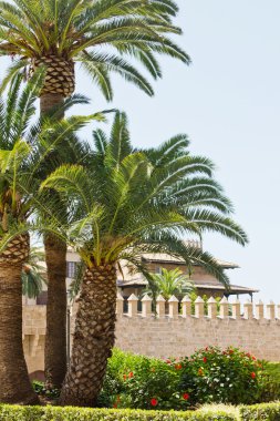 avuç içi ile eski kale