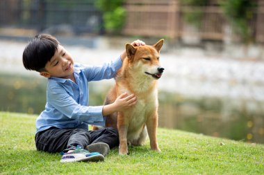 Mavi tişörtlü Asyalı erkek çocuk yeşil parkta oturan brwon Shiba inu köpeği ve fotokopi alanı.