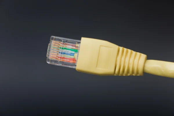 Cavo di rete per computer (RJ45 ) — Foto Stock