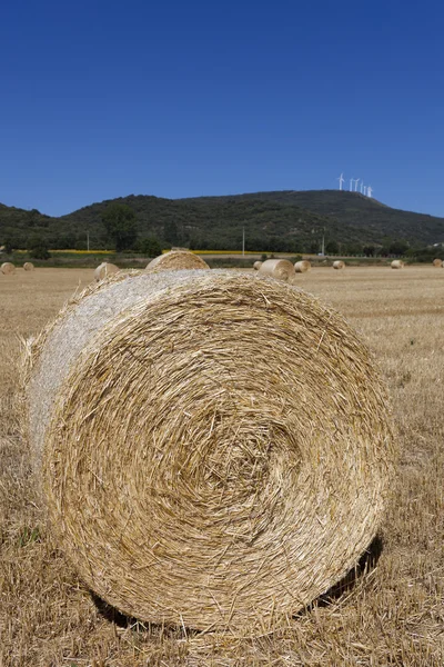 Bales in Villarcayo, Burgos, Castilla y Leon, Spagna — Foto Stock