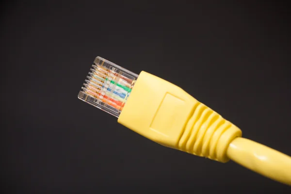 Cable de red informática (RJ45 ) — Foto de Stock