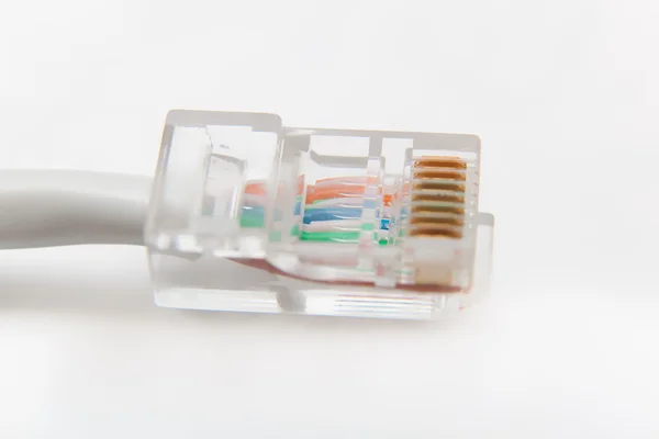 Computer network cable (RJ45) — Stock Photo, Image