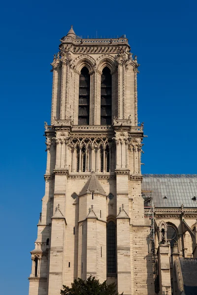 Kathedrale Notre Dame, Paris, Ile de France, Frankreich — Stockfoto