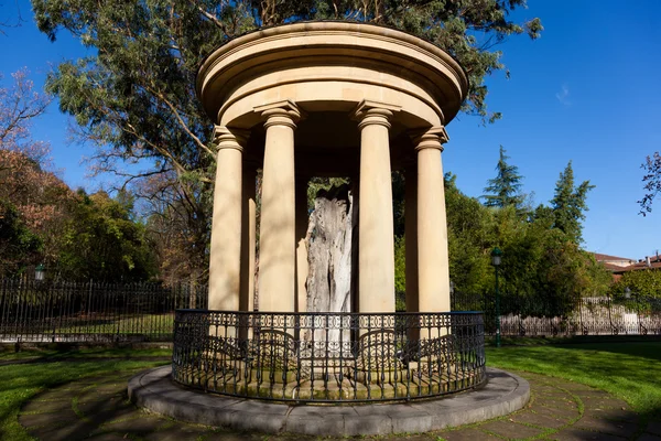 ağaç gernika, bizkaia, Bask Ülkesi, İspanya