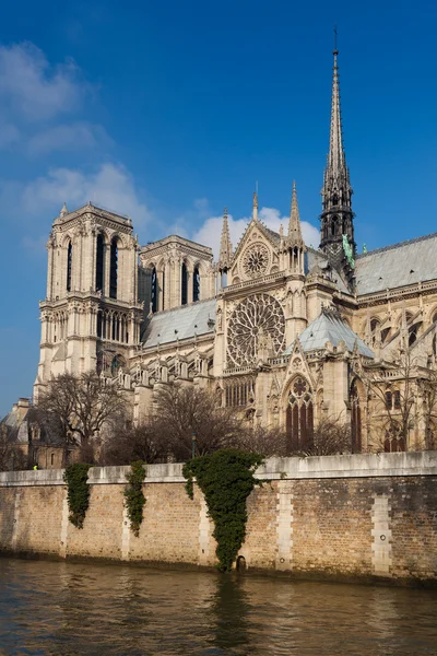 Kathedraal van Notre Dame, Parijs, Ile de France, Frankrijk — Stockfoto