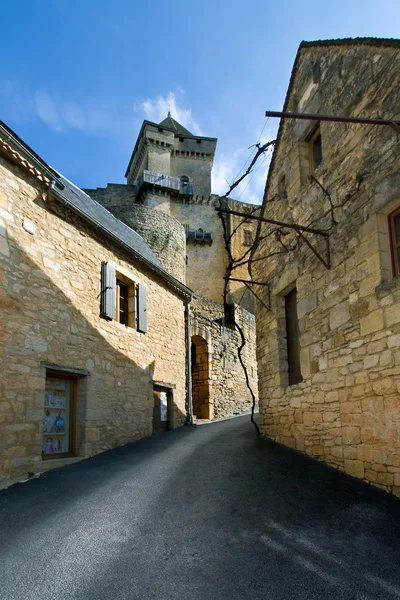 Castelnaud-la chapelle, dordogne, aquitaine, Frankrijk — Stockfoto