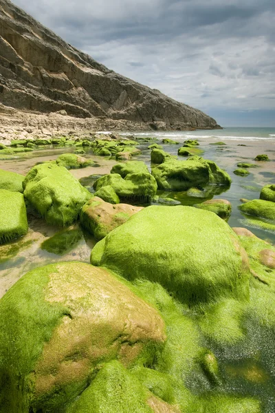 Playa de Llanes, Asturias, España — Foto de Stock