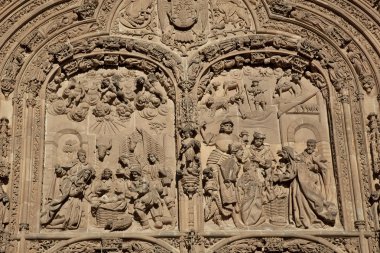 ayrıntı katedral Salamanca, castilla y leon, İspanya