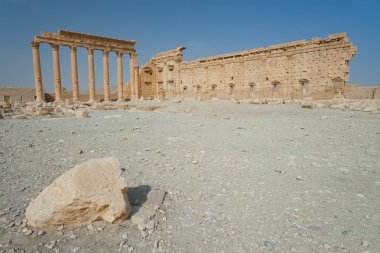 palmira, Suriye harabelerde
