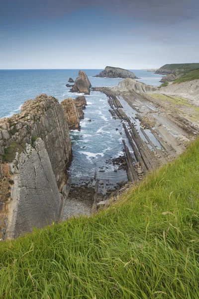 montón de disco compacto como telón de fondo