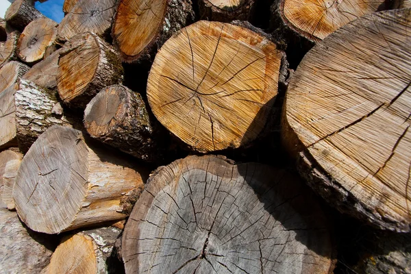 Logs, Posada de Valdeon, Leon, Castilla y Leon, Spain — Stock Photo, Image