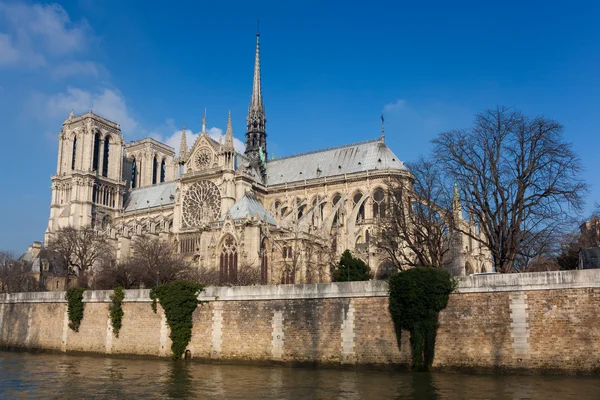 Kathedraal van Notre Dame, Parijs, Ile de France, Frankrijk — Stockfoto