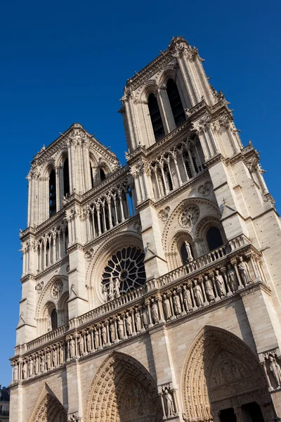 Notre dame Katedrali, paris, Ile de france, Fransa — Stok fotoğraf