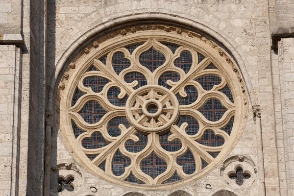 Cattedrale di Blois, Loir et cher, Francia — Foto Stock