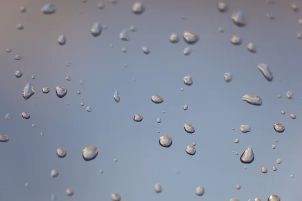 Drop of the rain — Stock Photo, Image