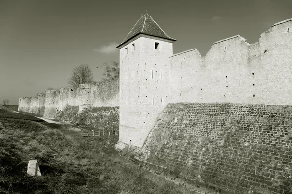 Стіни з Provins, неводи і Марна, Ile de France, Франції — стокове фото