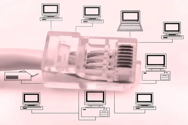 Câble réseau informatique (RJ45 ) — Photo