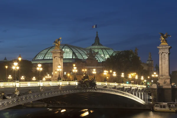 Alexander III bridge and Grand palais, Paris, Ile de France, Fra — Stockfoto