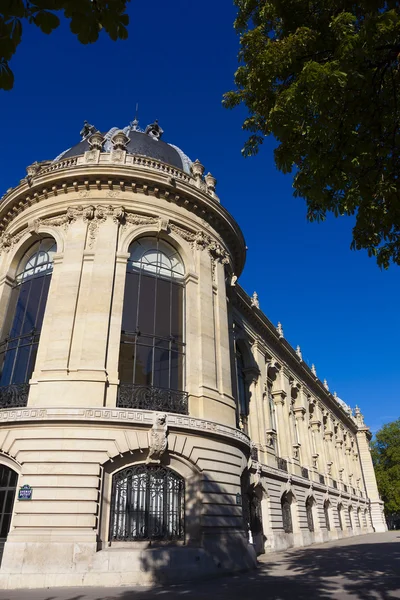 Petite Palais, Paris, Ile de France, France — Stock Photo, Image