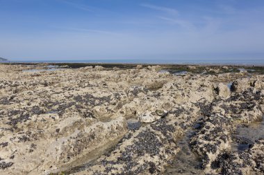 dieppe Beach, cote d'albatre, haute-normandie, Fransa