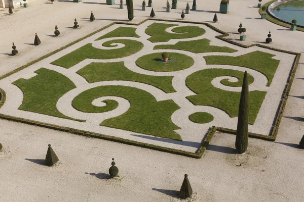 Gardens of La Orangerie, Versailles, Yvelines, France — Stock Photo, Image