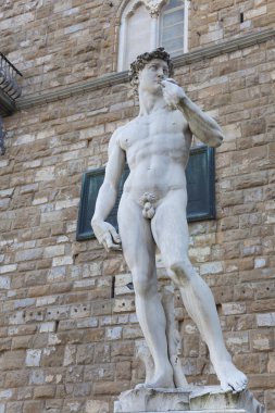 david, çıplak heykeli piazza della signoria, florence, İtalya