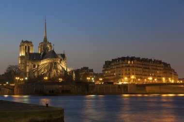 Notre dame, paris, Ile-de-France, Fransa