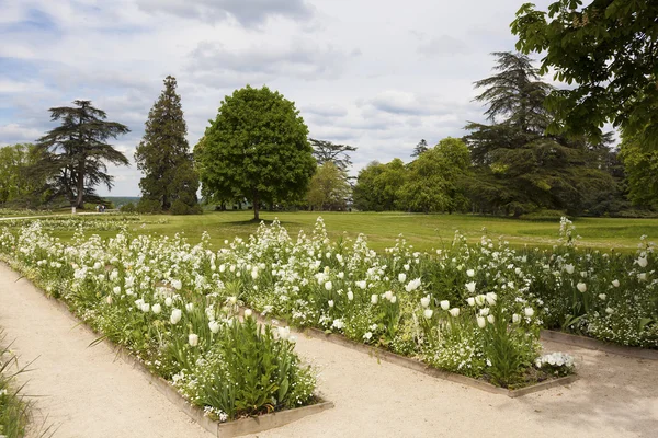 Jardines del castillo de Chaumont sur loire, Loire et cher, Cent — Foto de Stock