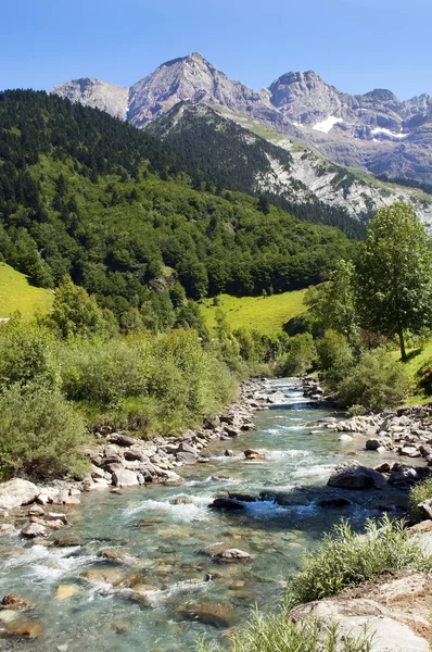 Río en los Pirineos Franceses — Foto de Stock