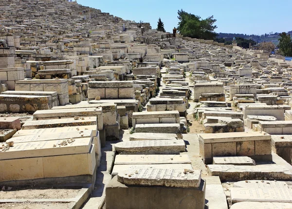 Antico cimitero ebraico — Foto Stock