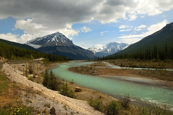 Fiume freddo tra le montagne rocciose — Foto Stock