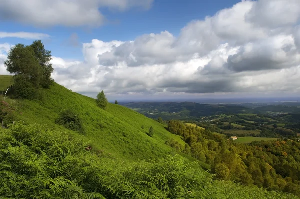 Зеленые склоны французских Пиренеев — стоковое фото