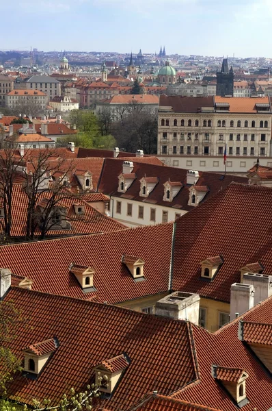 Rote Dächer des alten Prag — Stockfoto
