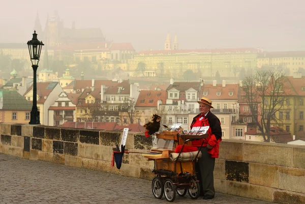 Oude organ-grinder op charles bridge — Stockfoto