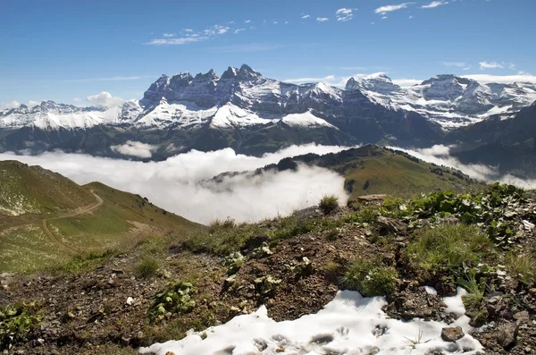 Nebbia mattutina nelle Alpi svizzere — Foto Stock