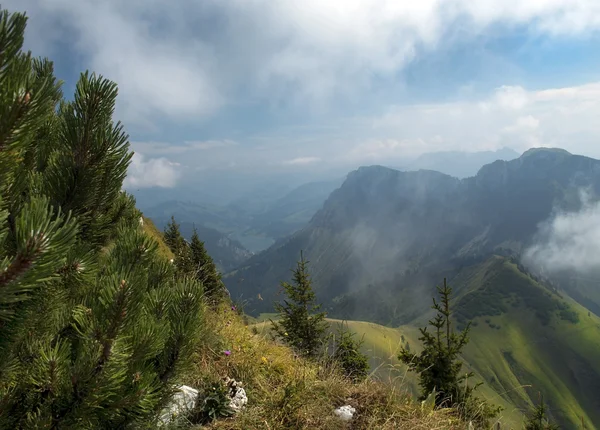 Prachtig uitzicht op de Zwitserse Alpen — Stockfoto