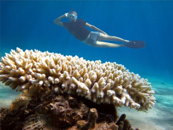 Jovem mergulhador posa no fundo do coral — Fotografia de Stock
