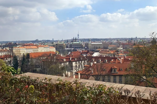 Rote Dächer Prags von der Höhe der Prager Burg — Stockfoto