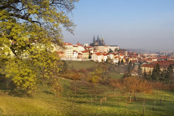 Altes Prag aus den umliegenden Hügeln — Stockfoto