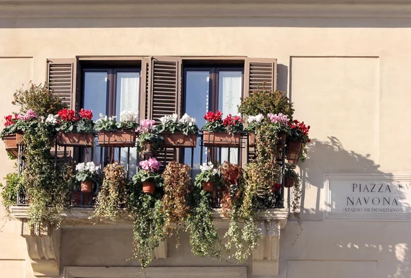 Окна с цветами, площадь Пьяцца Навона, Рим, Италия — стоковое фото