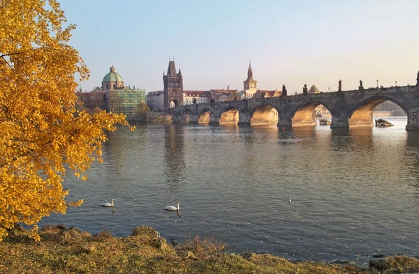 Осенний пейзаж с видом на Карлов мост в Праге — стоковое фото