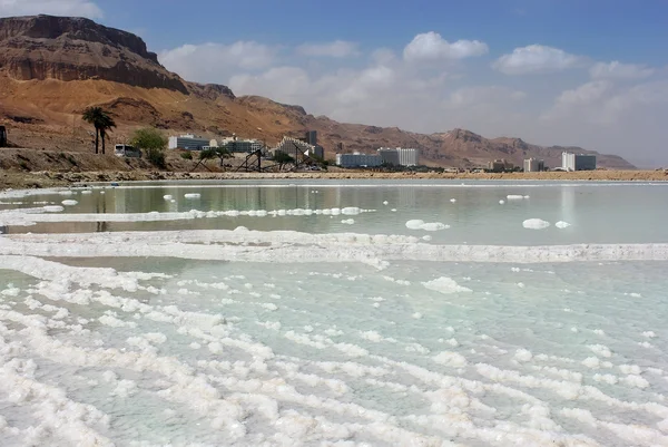 Salt deposits and resort area on the Dead Sea — Stock Photo, Image