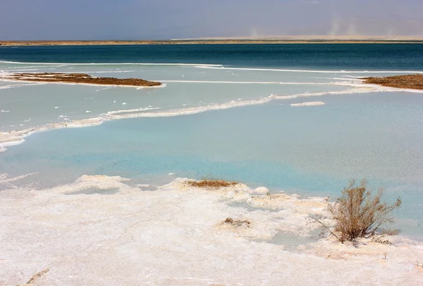 Landscape on the dead sea — Stock Photo, Image