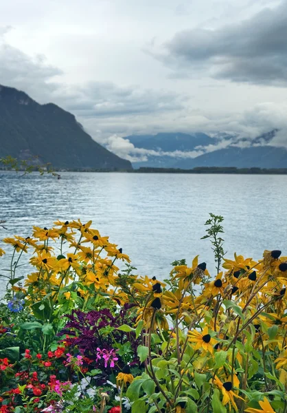 Ochtend landschap met bloemen op het meer van Genève — Stockfoto