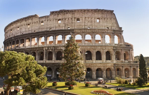 Roman Coliseum celebrates Christmas — Stock Photo, Image