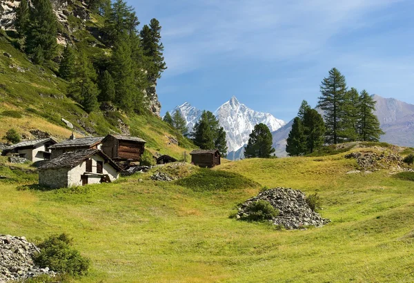 Pastoralt landskap i schweiziska Alperna — Stockfoto