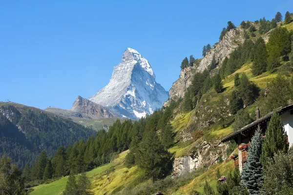 Zalesněných svazích švýcarských Alp — Stock fotografie