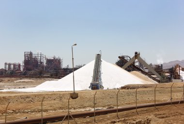 dead sea Israel yapılan bitki